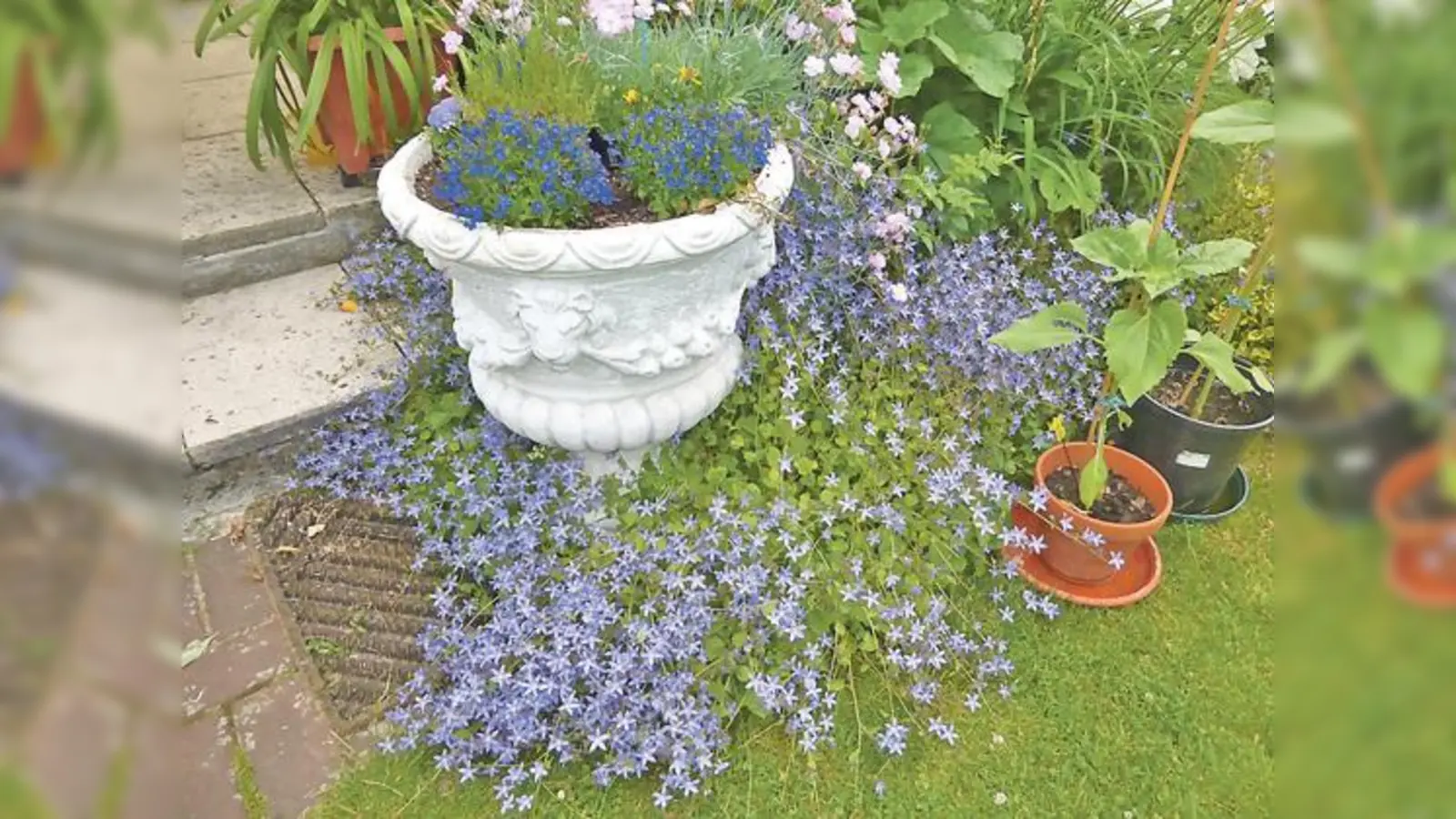 Der Gartenbauverein Daglfing sucht Interessenten für den »Tag der offenen Gartentür«.	 (Foto: Gartenbauverein Daglfing)