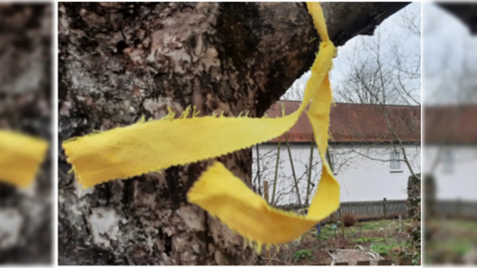 Von Obstbäumen mit einem gelben Band dürfen sich Bürger Obst zum Eigenbedarf mitnehmen.  (Foto: Plan A)