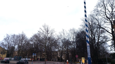 Gefeiert wird rund um den Maibaum am Grünen Markt (Archivbild: bas)