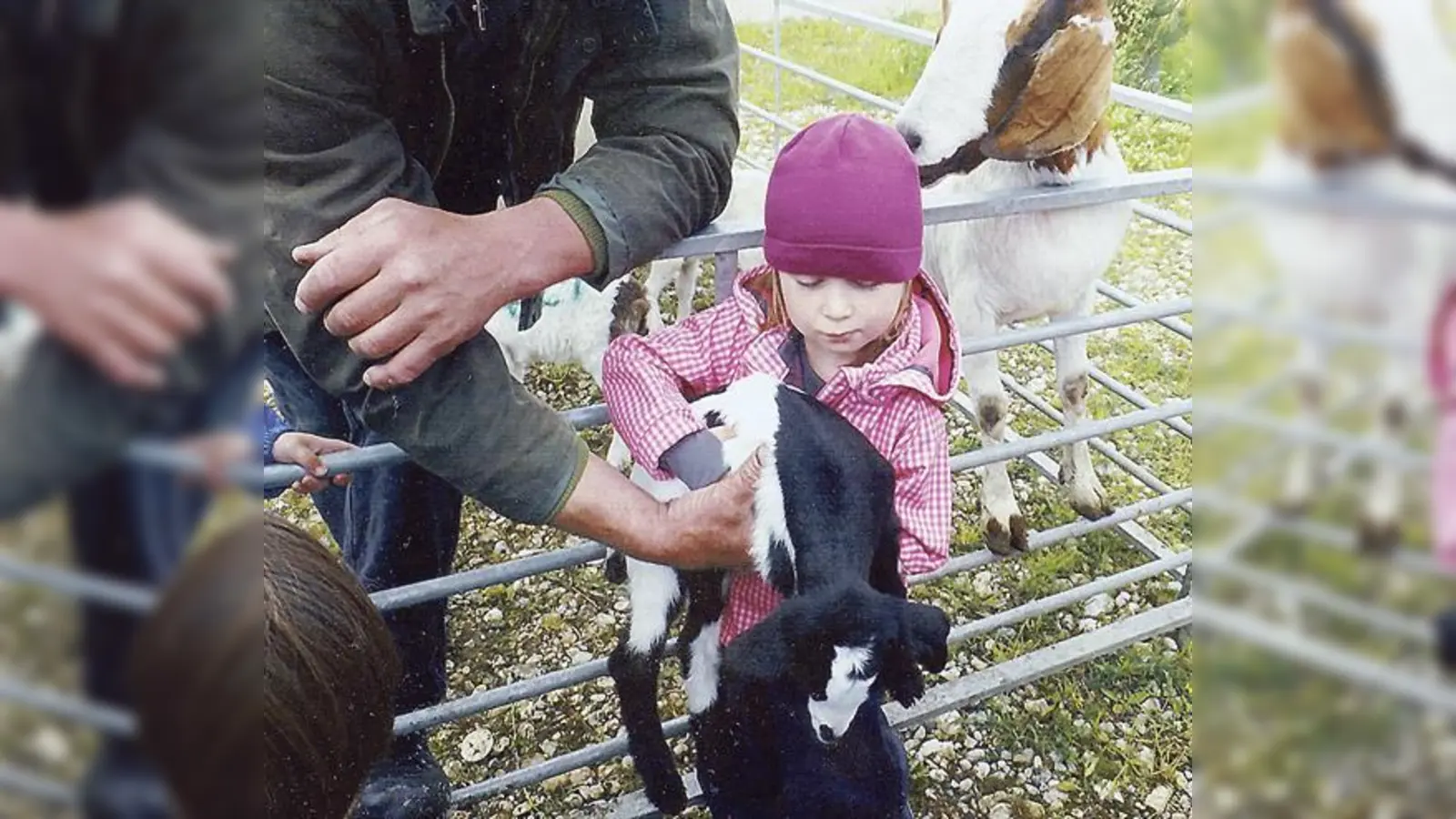 Mit großer Begeisterung wurde gestreichelt und gefüttert.	 (Foto: privat)