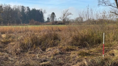 Diese schöne Moorfläche des Landkreises Freising wurde nun renaturiert. (Foto: Landratsamt Freising)