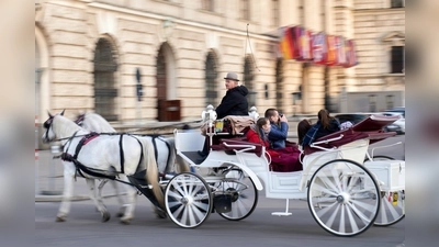Die Tierschutzorganisation PETA fordert das Landratsamt auf ein Verbot von Pferdekutschen im Landkreis Ebersberg zu prüfen. (Foto: CC0)