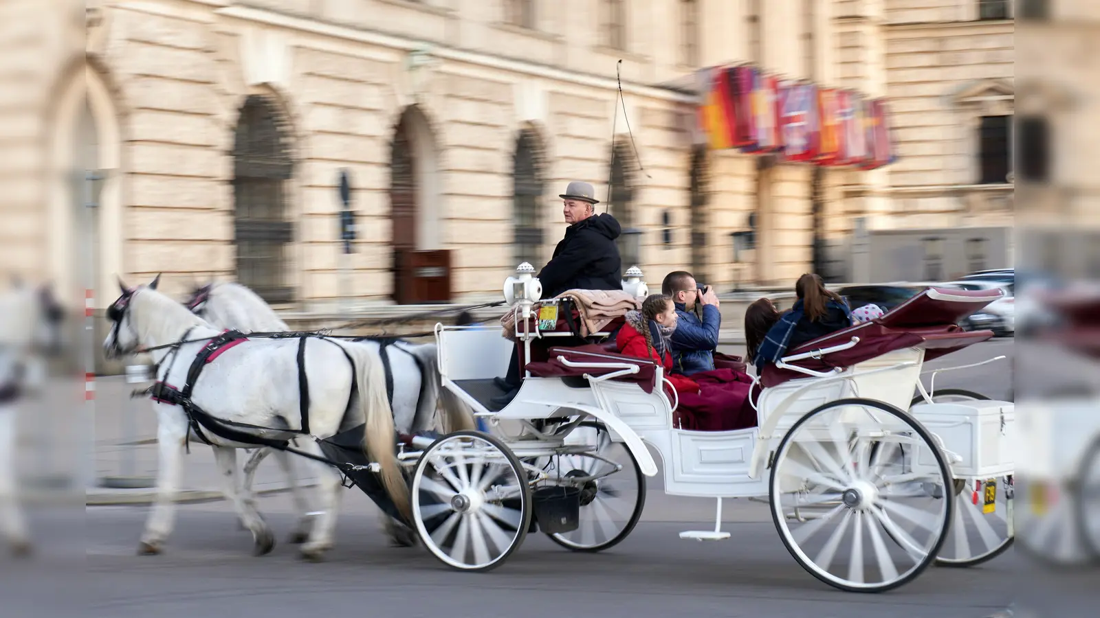 Die Tierschutzorganisation PETA fordert das Landratsamt auf ein Verbot von Pferdekutschen im Landkreis Ebersberg zu prüfen. (Foto: CC0)