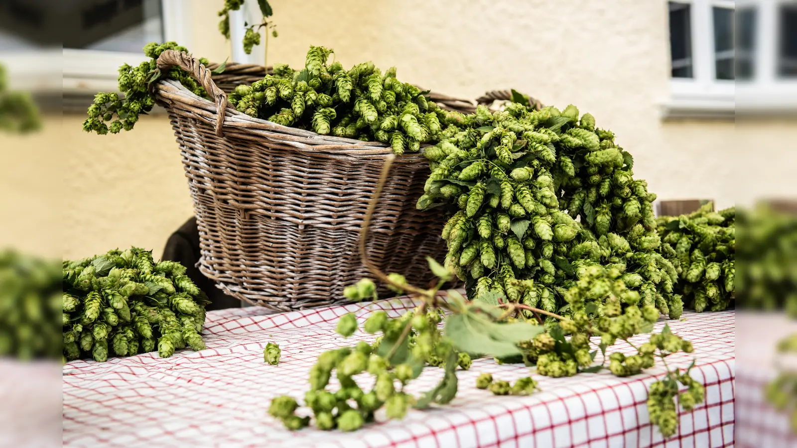 Die Valleyer Schloss Brauerei lädt am 1. September zum Tag der offenen Tür ein. (Foto: Ramona Meisl)