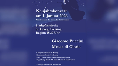 Festliche Klänge in der Stadtpfarrkirche in Freising. (Foto: Flegler)