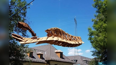 Elsa Nietmann: Fishbones, 2017, Esche gesägt (Foto: Kulturforum)