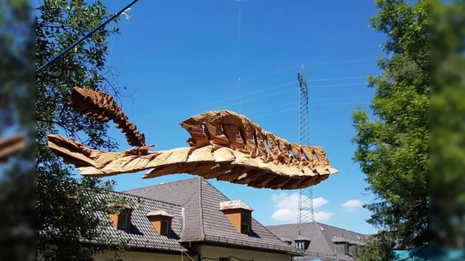 Elsa Nietmann: Fishbones, 2017, Esche gesägt (Foto: Kulturforum)