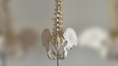 Für einen gesunden Rücken kann man selber viel beitragen. Bewegung tut dem Körper gut. (Foto: hw)