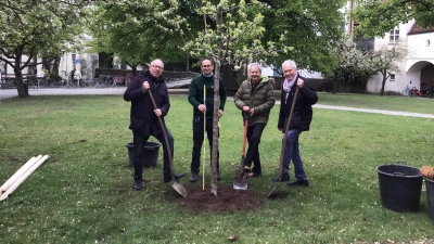 Pflanztermin: v.l. Johannes Wimmer (2. BBV-Vorsitzender), Manuel Leuthe, Andreas Ellmaier und Johann Wittmann (2. BBV-Vorsitzender) (Foto: BBV)