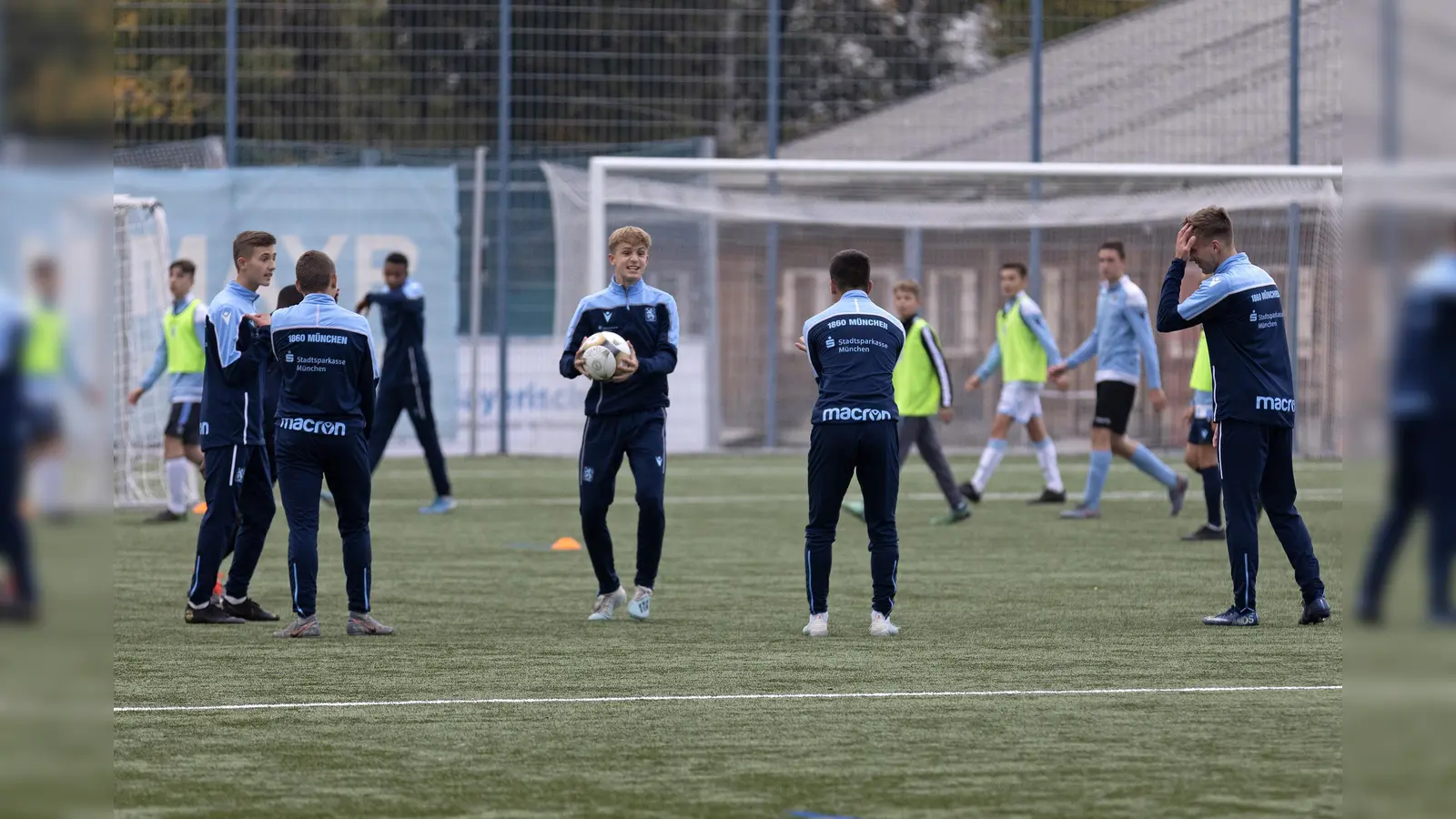 Hungrig auf Fortschritte: Junglöwen.  (Foto: Anne Wild)