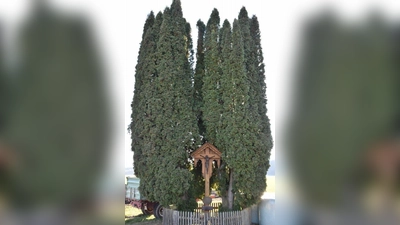 Wer weiß, wo das Höhenrainer Marterl steht? (Foto: Hauck)