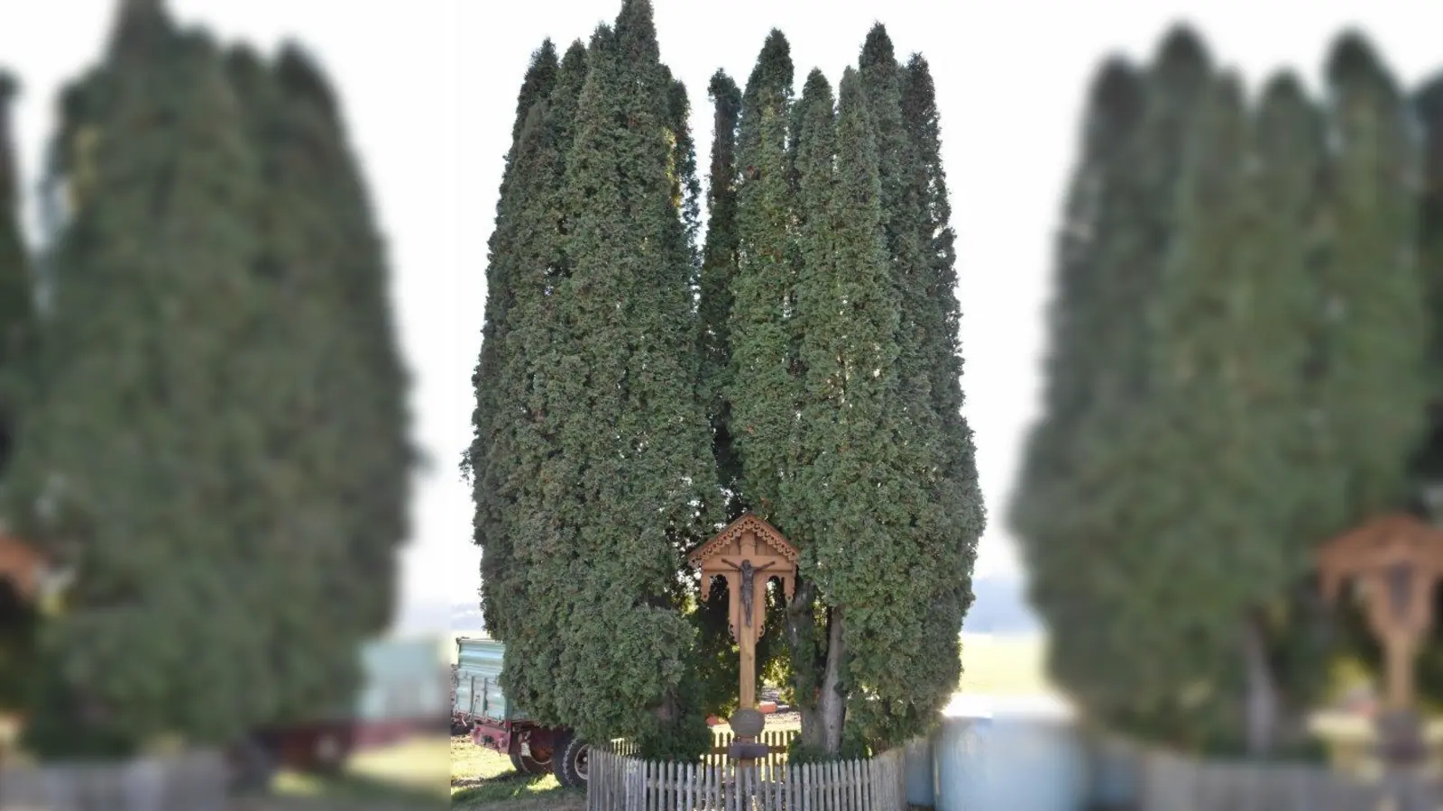 Wer weiß, wo das Höhenrainer Marterl steht? (Foto: Hauck)