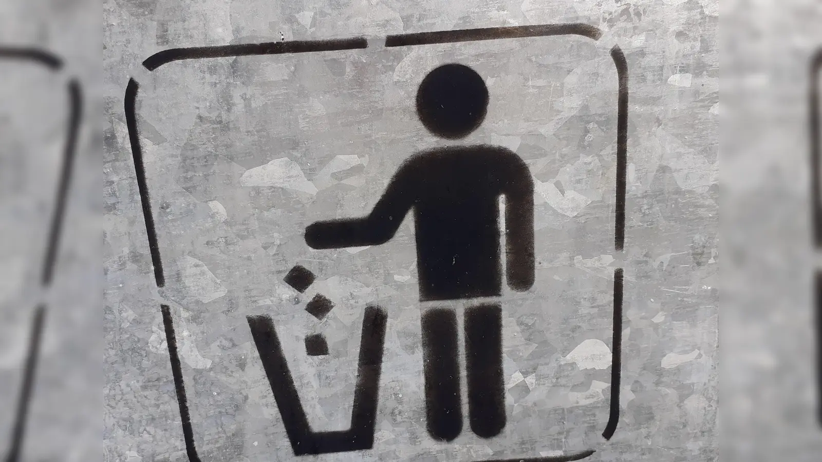 Gefährliche Abfälle gehören nicht in die Restmülltonne. (Foto: Archiv)