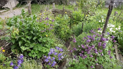 Auch die Blüten von Kräutern finden Verwendung. (Foto: Markus Wasmeier)