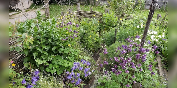 Auch die Blüten von Kräutern finden Verwendung. (Foto: Markus Wasmeier)