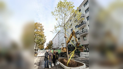 Neue Spaten, neuer Baum: Bei der Pflanzung der Platane wirkten auch Georg Dunkel, Svenja Jarchow-Pongratz, Mona Fuchs und Jeanne-Marie Ehbauer mit (v.l).  (Foto: Michael Nagy)
