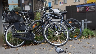 Im Herbst fährt es sich gut mit dem Fahrrad. Auf den geführten Touren des Mobilitätsreferats erfährt viel Wissenswertes über die Stadt.  (Foto: mha)