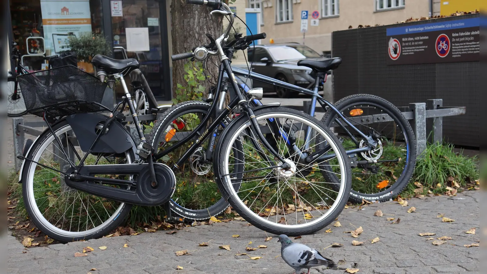 Im Herbst fährt es sich gut mit dem Fahrrad. Auf den geführten Touren des Mobilitätsreferats erfährt viel Wissenswertes über die Stadt.  (Foto: mha)