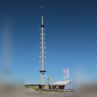 31 Meter hoch ist der Maibaum. (Foto: georgwohllebenfotografie)