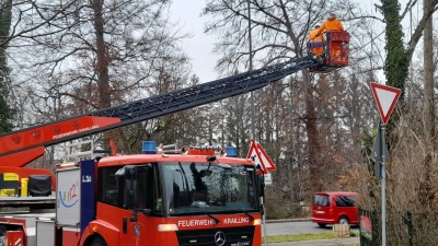 Die Feuerwehr Krailling hilft bei der Befestigung des Spezialseils für die Eichhörnchen.  (Foto: © Gemeinde Krailling)