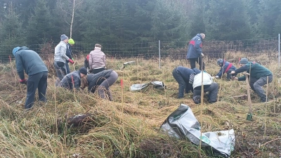 Die „Baumfreunde” bei ihrer Pflanzaktion im Gilchinger Gemeindewald. (Foto: Gemeinde Gilching)