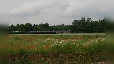 Der Blick von Gräfelfing zum Lochhamer Schlag. Neben der Erweiterung des Gräfelfinger Gewerbegebietes könnte hier bald der verlegte Anschluss zur A 96 entstehen. (Foto: US)