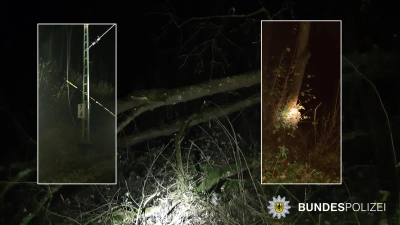 Am Dienstag fiel bei Baumfällarbeiten im Bereich St. Koloman ein Baum in die Speiseleitung. (Foto: Bundespolizei)
