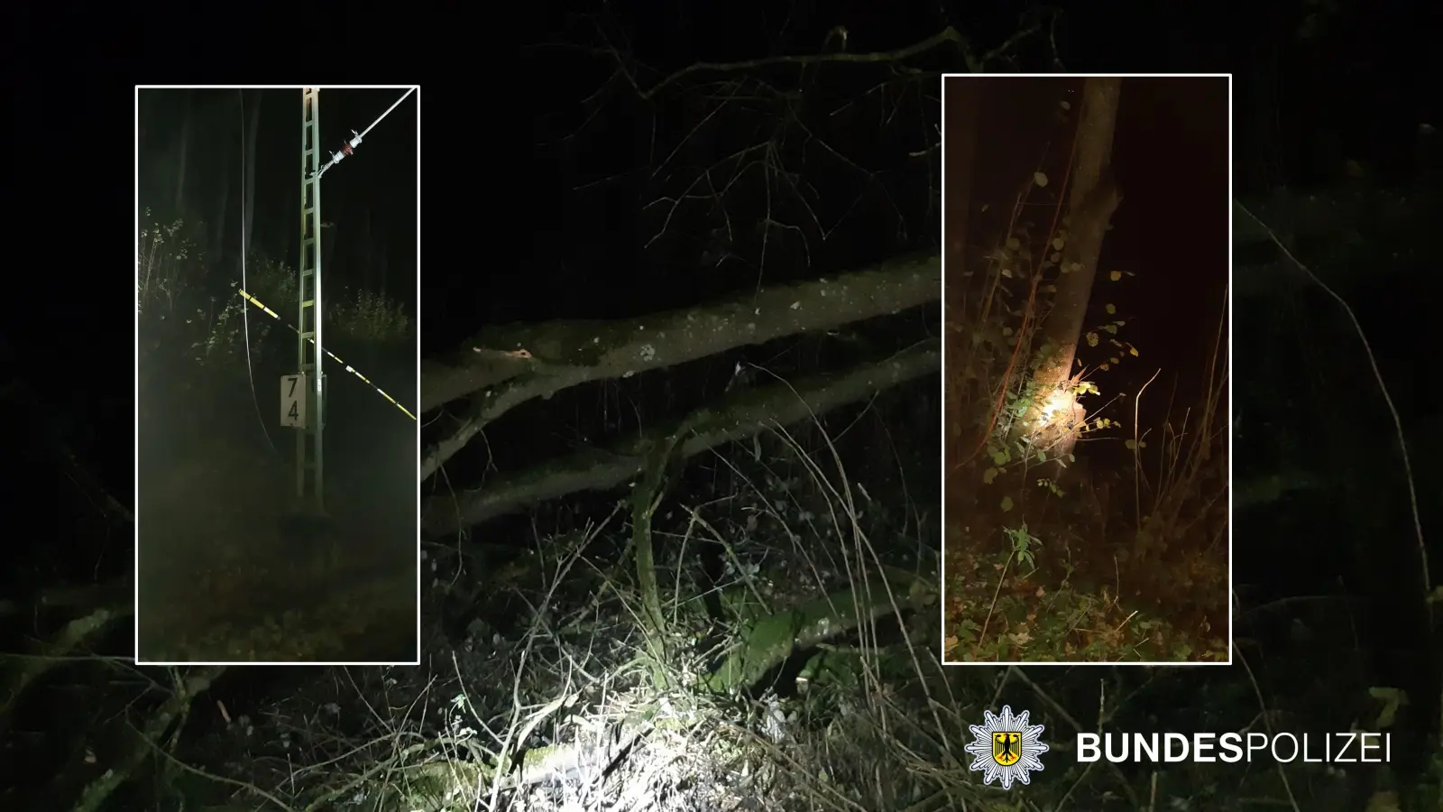 Am Dienstag fiel bei Baumfällarbeiten im Bereich St. Koloman ein Baum in die Speiseleitung. (Foto: Bundespolizei)