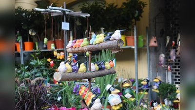 In einer der Veranstaltungen mit noch freien Plätzen geht es um die Themen Natur und Garten.  (Symbolbild: mha)