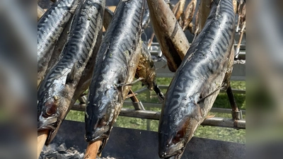 Köstlichen Steckerlfisch gibt es bei der Sonnwendfeier der FFW Taufkirchen. (Foto: hw)