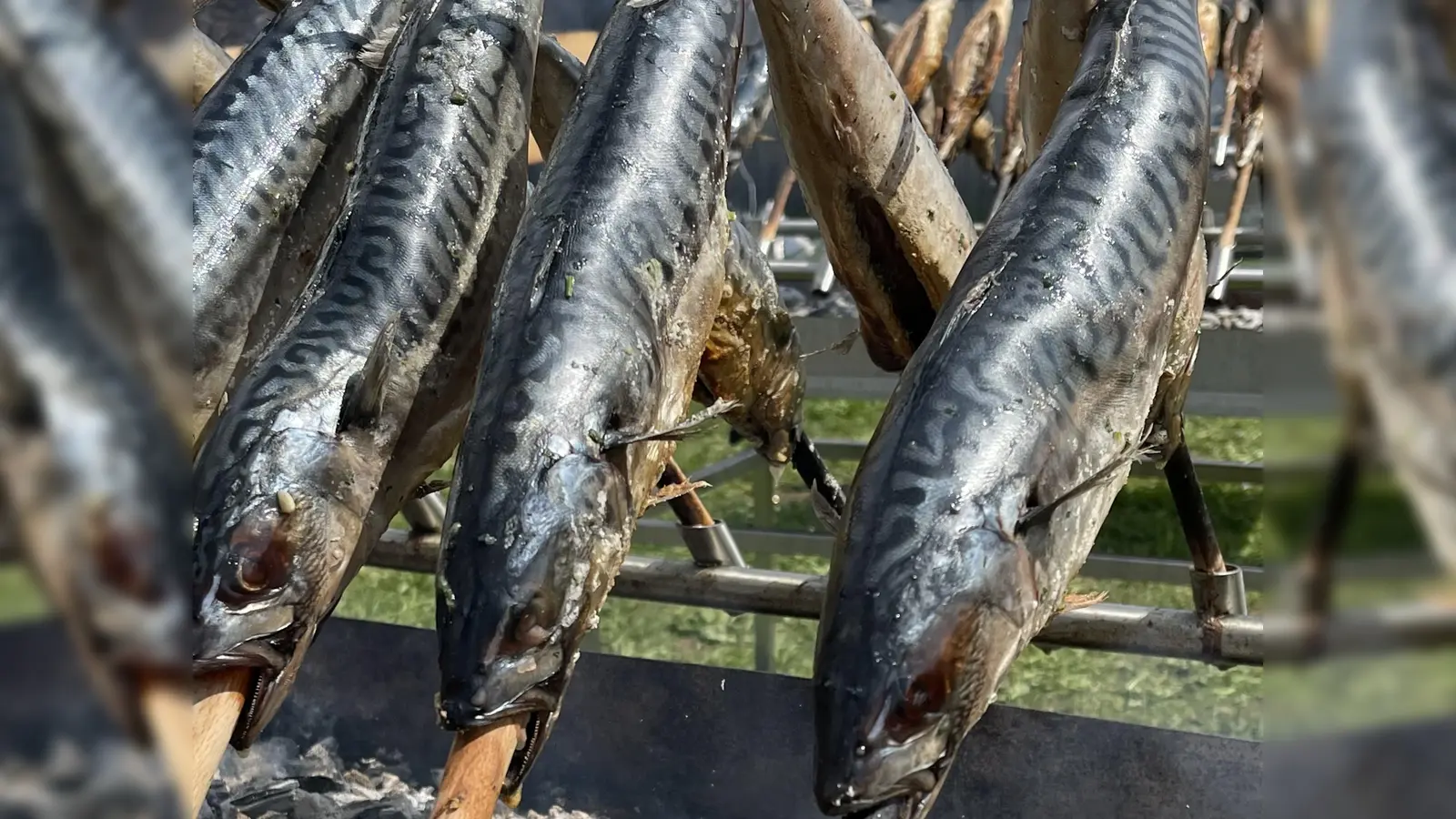 Köstlichen Steckerlfisch gibt es bei der Sonnwendfeier der FFW Taufkirchen. (Foto: hw)