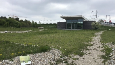 Wie am HeideHaus in Fröttmaning werden sich die neu angesäten Flächen in den nächsten Jahren zu einer artenreichen Heidewiese entwickeln. (Foto: Daniel Mielcarek)