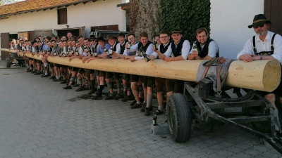 Voller Stolz klauten die Reisener und Eittinger den Baum aus Eichenkofen. (Foto: red)