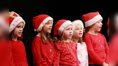 Die Musikschule lädt zum Nikolauskonzert ein.  (Foto: Musikschule )