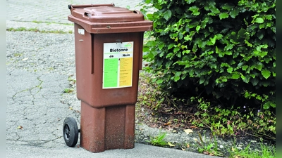 Biotonne der AWISTA. (Foto: Hauck)