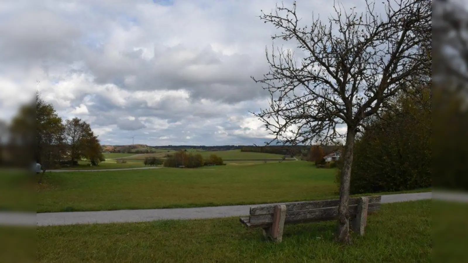 Hier an der Osterfelderstraße mit Blick ins Hälsbachtal ist der Bau geplant. Kritiker bemängeln die Zerstörung der Landschaft. (Foto: Hauck)