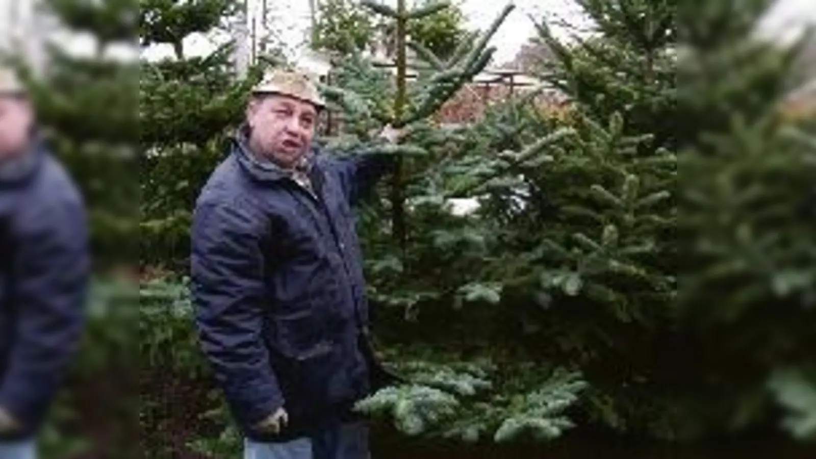 Der lustigste Verkäufer mit den schönsten Tannen: Peter Kreissel und seine »Baam« genießen Kultstatus.	 (Foto: ba)