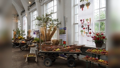 Die Ausstellung in der Winterhalle zeigt die Ernte regionaler Früchte. (Foto: BotMuc/Diana Geier)