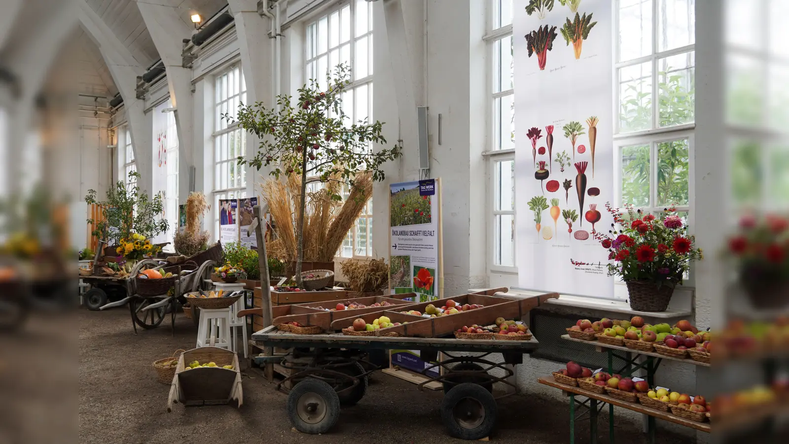 Die Ausstellung in der Winterhalle zeigt die Ernte regionaler Früchte. (Foto: BotMuc/Diana Geier)