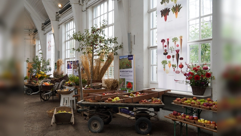 Die Ausstellung in der Winterhalle zeigt die Ernte regionaler Früchte. (Foto: BotMuc/Diana Geier)