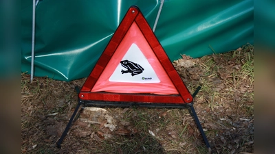 Aufgrund der milden Witterung hat die Krötenwanderung zu den Laichplätzen begonnen. (Foto: Ursula Hildebrand)