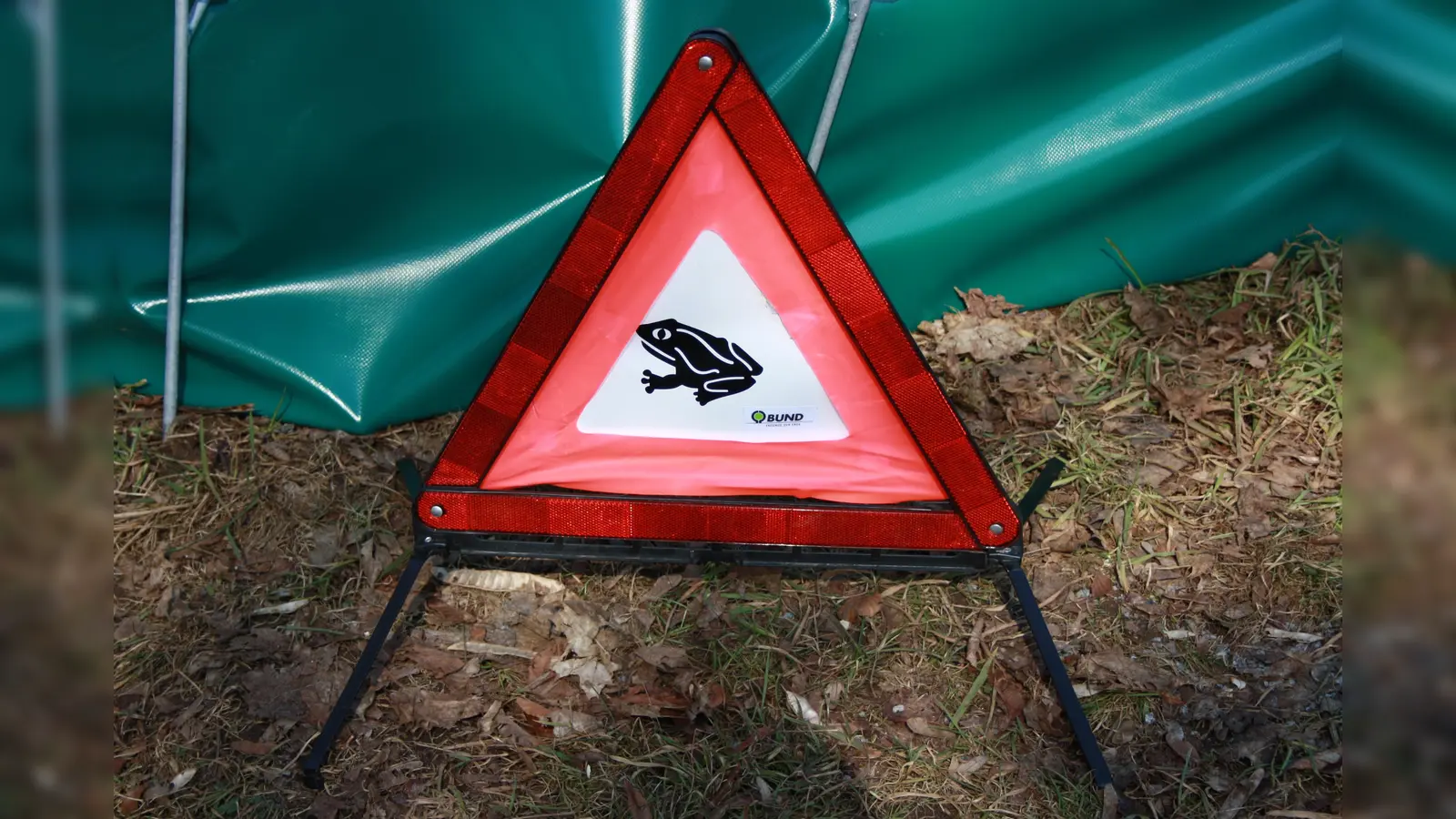 Aufgrund der milden Witterung hat die Krötenwanderung zu den Laichplätzen begonnen. (Foto: Ursula Hildebrand)