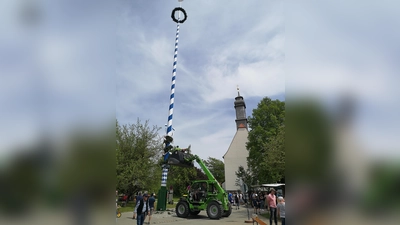 Nur noch ein wenig, dann steht der neue Maibaum in Oberbiberg kerzengrade auf dem Marienplatz.  (Foto: hw)