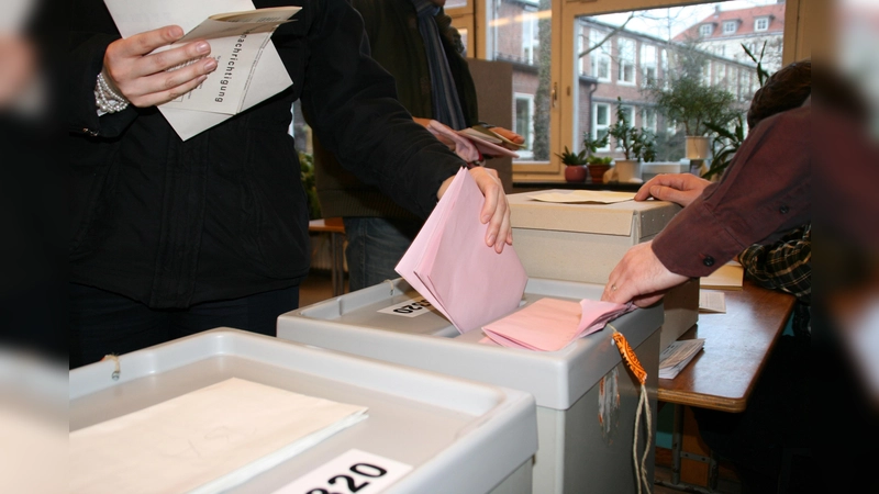 Der Ebersberger haben die Wahl. Der Landkreis will zeitnah einen Bürgerentscheid über einen möglichen Windpark im Ebersberger Forst durchführen.  (Foto: Alexander Hauk)