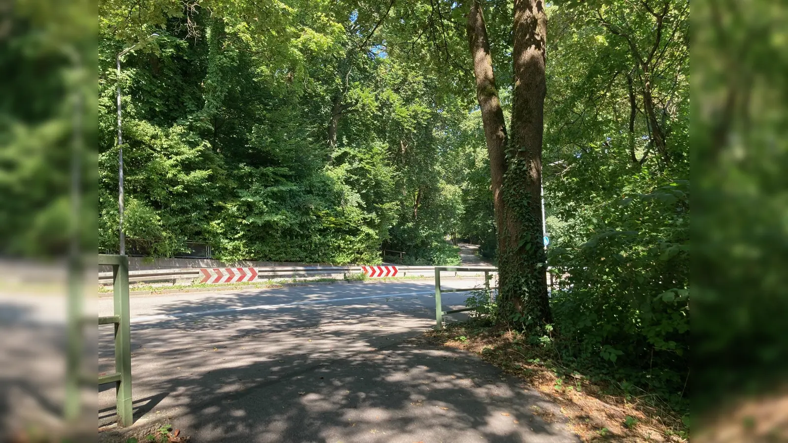 Blick in die Neuhofener Anlagen: Der Übergang aus dem kleinen Grünabschnitt an der Münchner Straße ist von einer Leitplanke blockiert. (Foto: lsc)
