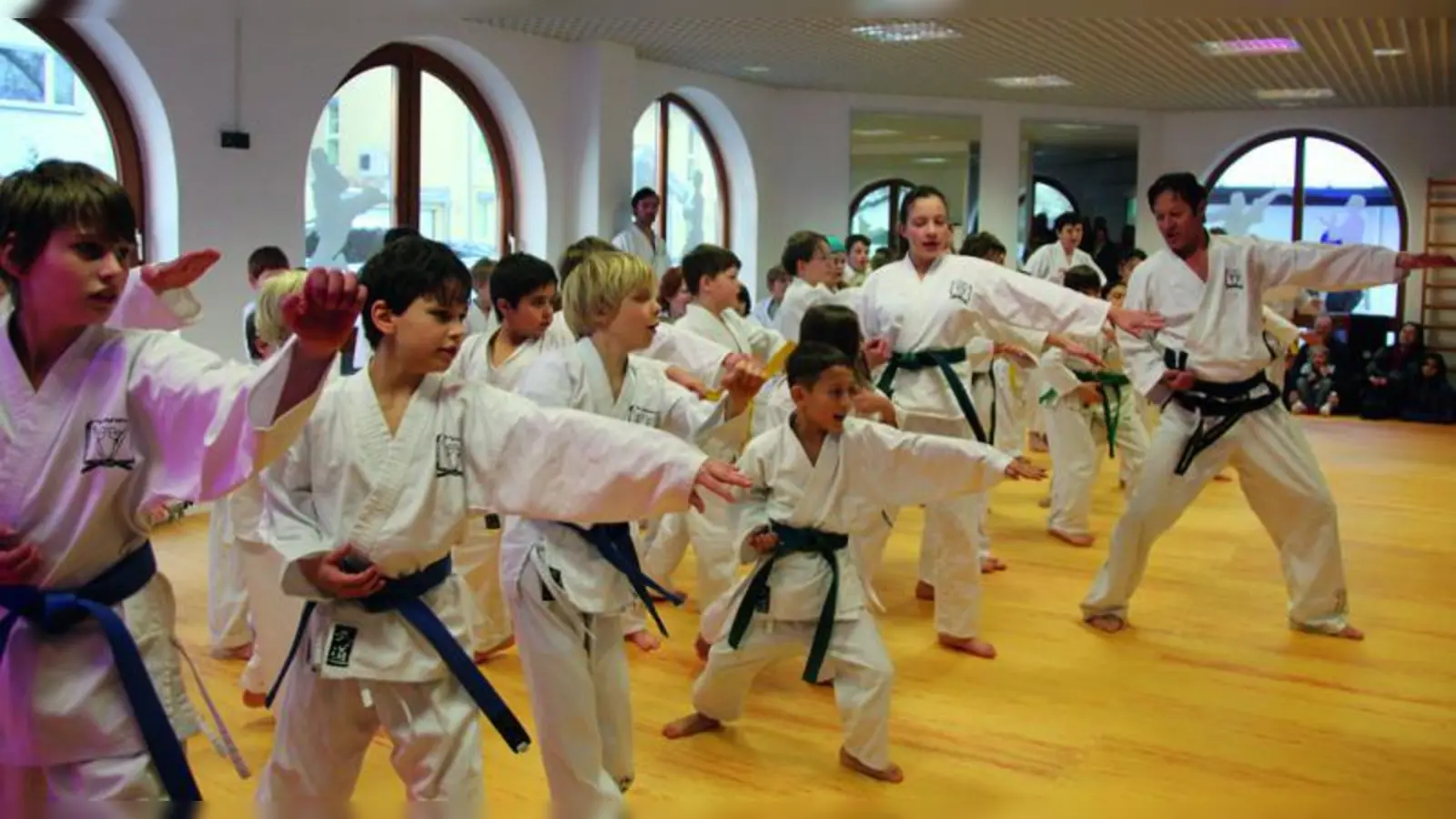 Systemgroßmeister George Maier (ganz re.) absolvierte mit den Schülern des TWIN Taekwondo Gröbenzell und Germering einen Lehrgang . (Foto: pi)