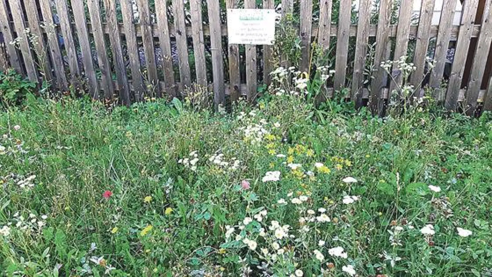Bunte Farbenpracht in vielen Gärten: In Kirchheim blüht es schon heute, mit der Landesgartenschau 2024 dürfte es in der Gemeinde weiter blühen. 	 (Foto: Gemeinde Kirchheim)