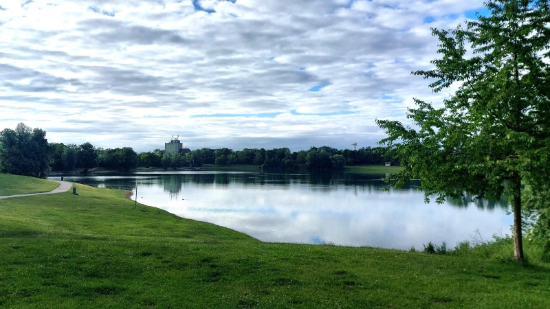 Am Heimstettener See wurden Blaualgen nachgewiesen. Die von einigen Gattungen produzierten Giftstoffe können bei Menschen und Tieren gesundheitliche Probleme verursachen. (Archivbild: bas)