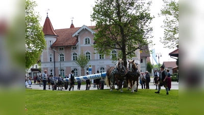 Sicherlich eine der schönsten Traditionen in Bayern: Auch die Aßlinger Trachtler stellen am Maifeiertag ab 11 Uhr ein weiß-blaues Traditionsstangerl auf. (Foto: Monika Schaecke)