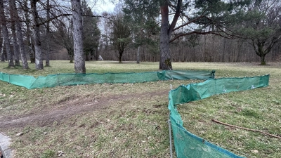 Es wird gebeten, Stellen mit Krötenwanderung, an denen sich noch kein Schutzzaun befindet, beim BUND zu melden. Auch so kann man sich für den Tier- und Artenschutz engagieren.  (Foto: hw)